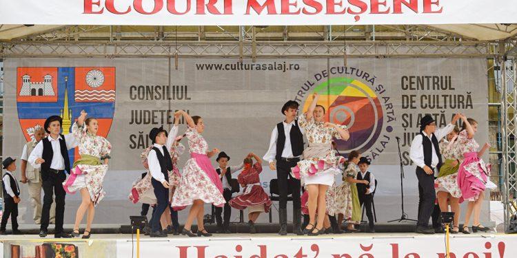 „Ecouri meseșene”, ediția a 45-a