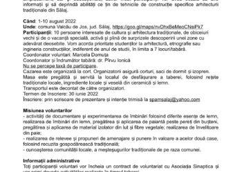 TABĂRA DE VOLUNTARIAT „CASE CĂLĂTOARE”