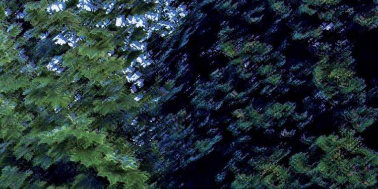 La Editura „Caiete Silvane”, două cărți dedicate Simpozionului Internațional de Arte Vizuale „Arta în grădină”