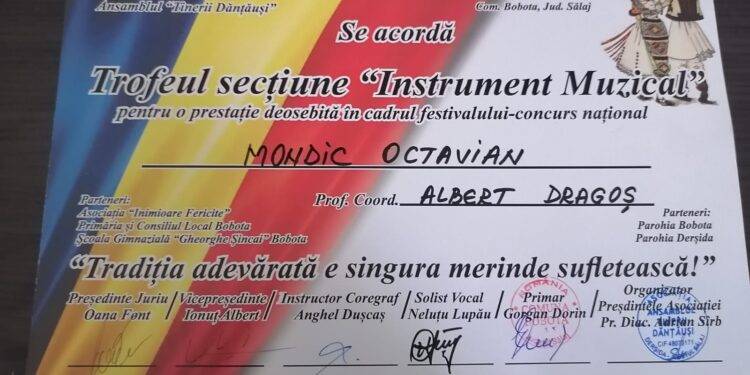 Clasări pe podium pentru elevii Şcolii Populare de Arte şi Meserii