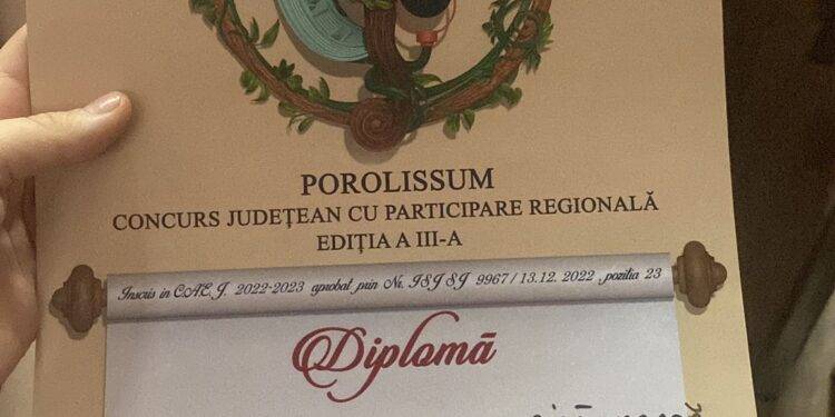 Clasări pe podium pentru elevii Şcolii Populare de Arte şi Meserii