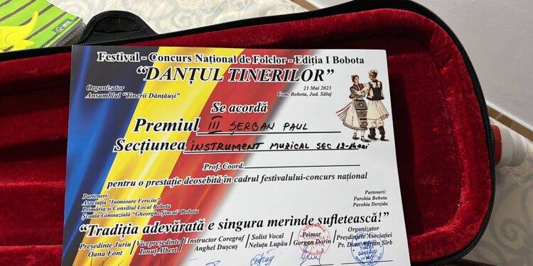 Clasări pe podium pentru elevii Şcolii Populare de Arte şi Meserii