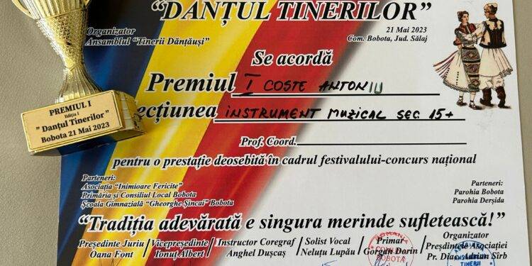 Clasări pe podium pentru elevii Şcolii Populare de Arte şi Meserii
