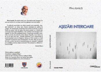 Așezări interioare, Pîrvu Ionică.