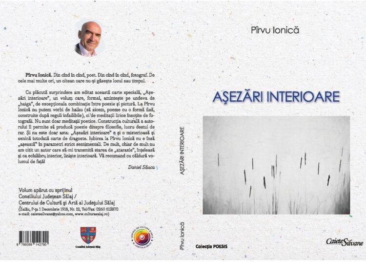 Așezări interioare, Pîrvu Ionică.