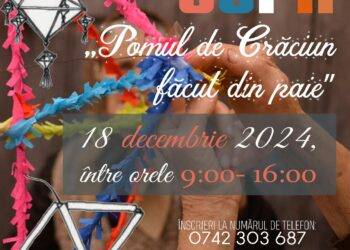 Transmitem mai departe obiceiul de confecționare a „Pomului de Crăciun făcut din paie” copiilor din școlile din județ