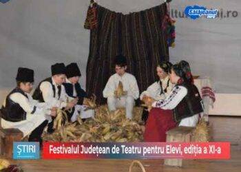Festivalul Judeţean de Teatru pentru Elevi, ediţia a XI-a