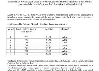 Rezultatele obținute la proba practică privind examenul de promovare în grade sau trepte profesionale a personalului contractual din cadrul CCAJS