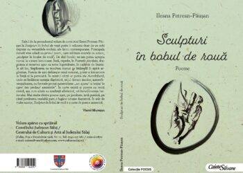 Ileana Petrean-Păușan, „Sculpturi în bobul de rouă”