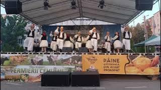 Ansamblul folcloric „Meseșul” la Festivalul Dansului și Cântecului Codrenesc