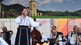 Ansamblul folcloric „Meseșul” (CCAJS) la Târgul de Rusalii de la Gârbou, Sălaj, 2026 (partea II)